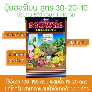 30-20-10 สูตรเร่งลำต้น ปุ๋ยฮอร์โมน ปุ๋ยน้ำ ปุ๋ยทางใบ พลังชาวนา