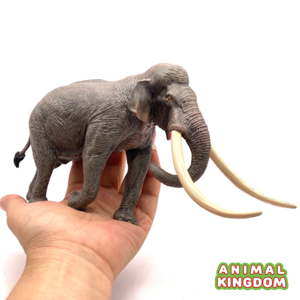 Animal Kingdom โมเดลสัตว์ Elephant ช้าง เอเชีย ขนาด 23.20 CM (จากหาดใหญ่)