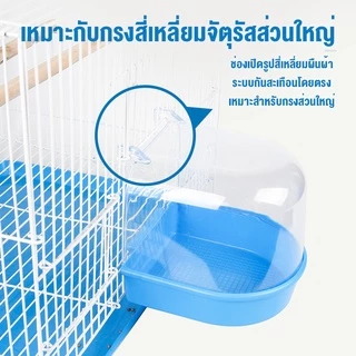 นกแก้วอ่างอาบน้ําดอกโบตั๋น, หนังเสือ, นกเหวิน, สะอาดพร้อมอ่างอาบน้ํา