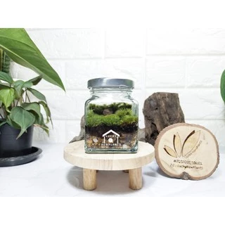 ชุดจัดสวนในขวดแก้ว DIY สวนขวด เซ็ทประหยัด 99฿ มีของพร้อมส่ง