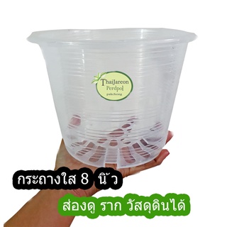 กระถางพลาสติก กระถางใส 8 นิ้ว ซื้อ 10 อัน แถม กาบมะพร้าวสับ