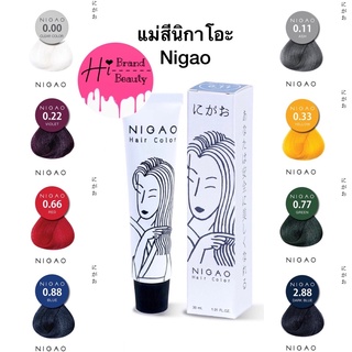 แม่สีนิกาโอะ แม่สี Nigao Hair Color ขนาด 30ml