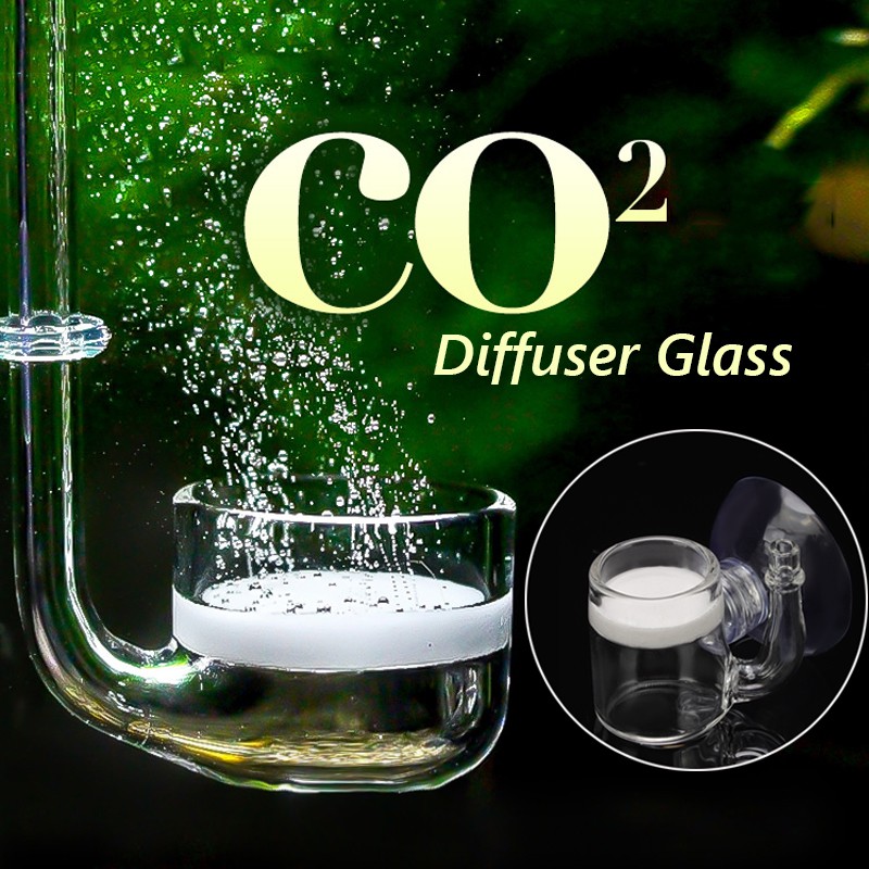 Co2 Diffuser + ถ้วยดูดสําหรับพิพิธภัณฑ์สัตว์น้ําหรือตู้ปลา - feika03.th ...