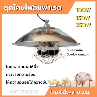 ชุดกกไฟอินฟราเรด กกไก่ กกหมู กกนก โคมไฟกกสัตว์ 100W/150W/250W พร้อมขั้วเซรามิกต่อสายยาว1.8เมตร ตะแกรงครอบพร้อมใช้งาน