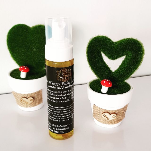 African Mango Facial Moose Foam