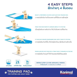 Kanimal Training Pee Pad🐱❤️🐶 คานิมอล แผ่นรองซับฝึกขับถ่ายเกรดดีในราคาประหยัด สำหรับสัตว์เลี้ยง มาให้เลือกทุกขนาดเบยจ้า