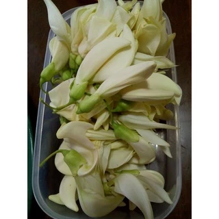เมล็ดพันธุ์ ดอกแค (แคบ้าน) แคขาว ดอกกินได้ ยอดก็กิได้ เป็นศรีแก่บ้าน บรรจุตัวเลือก 70 เมล็ด [ซื้อ 10 แถม 1 คละได้]