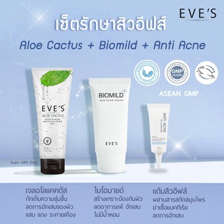 เซ็ตรักษาสิว อีฟส์ EVES Acne Treatment อโลแคคตัส ไบโอมายด์ ครีมแต้มสิว เจลว่านหาง รักษาสิวอีฟ อโลอีฟ เจล แต้มสิวอีฟ