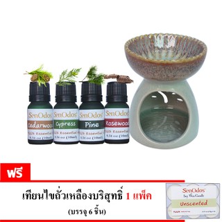 SenOdos ชุดเซ็ต น้ำมัน + เตาเผา น้ำมันหอมระเหย (ชุดกลิ่นไม้หอม) Essential Oil Woodsy Gorgeous Set 10ml x 4กลิ่น