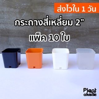 กระถางสี่เหลี่ยม 2 นิ้ว พลาสติกเนื้อหนา กระถางแคคตัส กระบองเพชร แพ็ค 10 ชิ้น