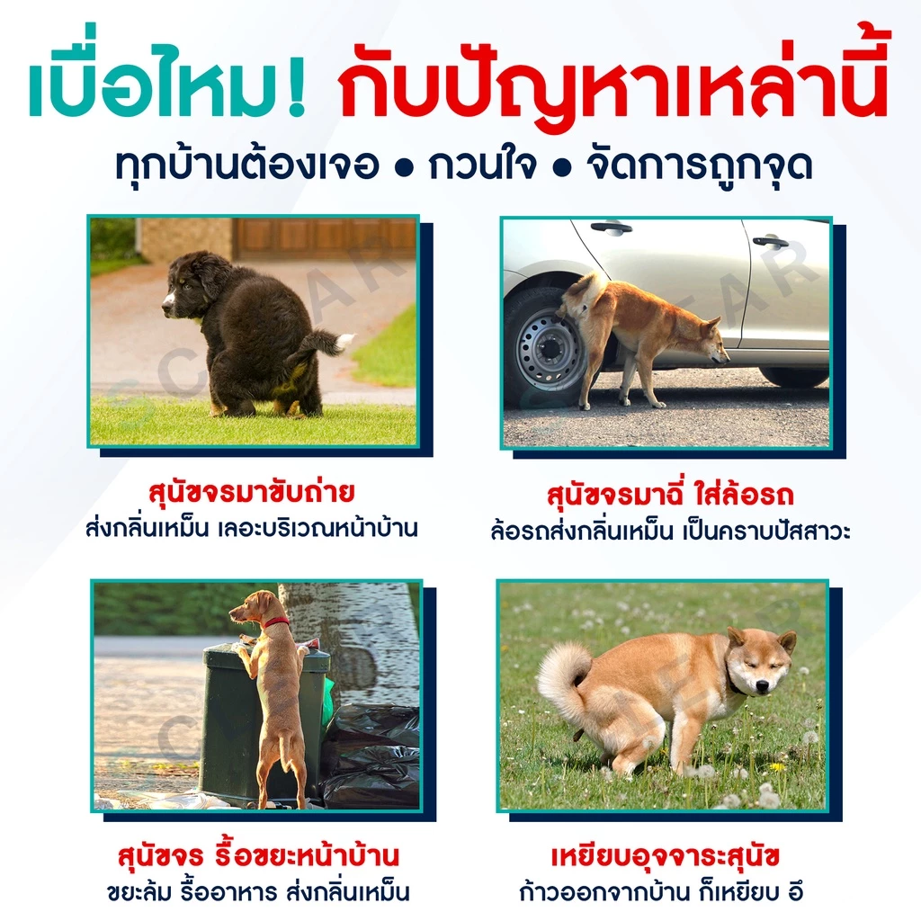 ผงไล่สุนัข/หมาจร ไม่ทำร้ายสัตว์ ใช้ได้ในบ้านและนอกบ้าน thumbnail 3