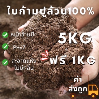 ใบก้ามปูหมักล้วน100% พิเศษ‼️ซื้อ5ฟรี1กิโล ได้ไปทั้งหมด 6kg‼️ สินค้าพร้อมส่งตลอด (สินค้าจำนวนจำกัด)