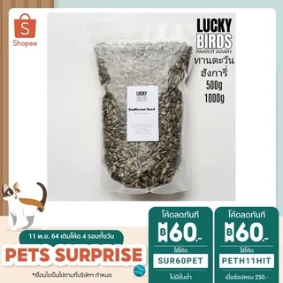เมล็ดทานตะวันฮังการี่ Sunflower seed สำหรับนก นกแก้ว สัตว์เลี้ยง คุณภาพสูง ขนาด 500กรัม และ1000กรัม