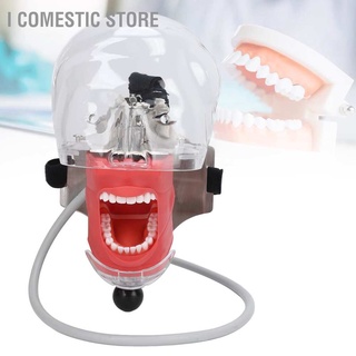 I Comestic Store หุ่นหัวฟันจําลอง ถอดออกได้ สําหรับโรงเรียน การสาธิต