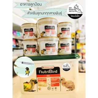 อาหารนกลูกป้อนใช้ได้ทุกสายพันธุ์ Nutribird A21 (พร้อมส่ง)