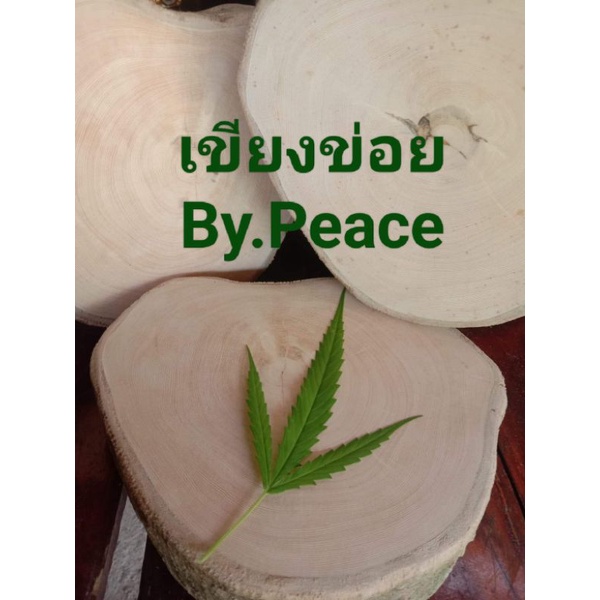 เขียงข่อย เขียงไม้ข่อย สหายสายเขียว ออแกนิค 100% พร้อมส่ง!!!! (สินค้ารับประกัน)