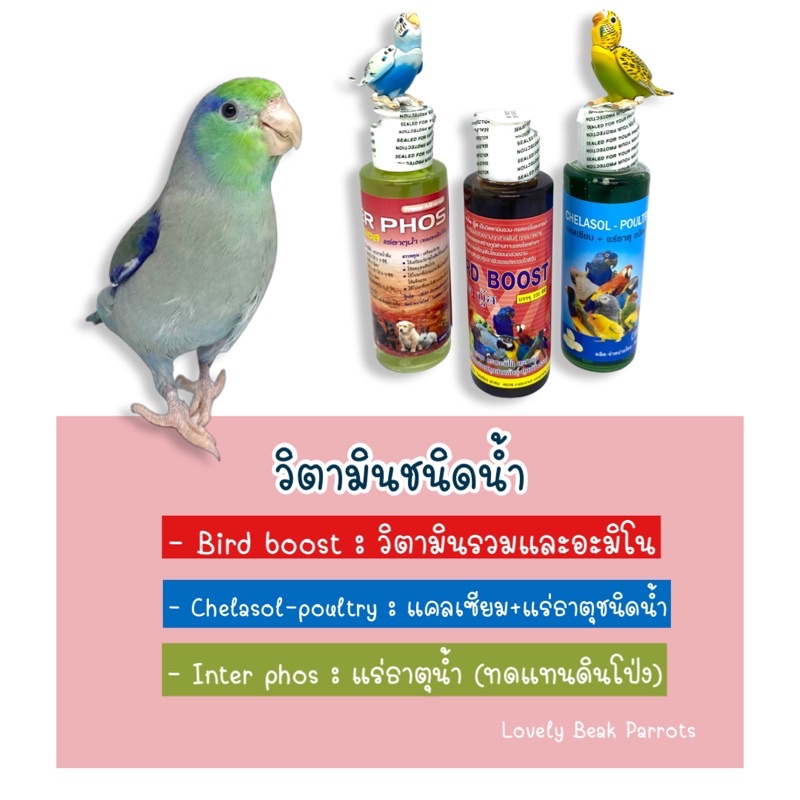 วิตามินชนิดน้ำ วิตามินสำหรับนกแก้วสวยงามทุกชนิด Bird boost - Chelasol poultry - Inter phos วิตามินบำรุงนก