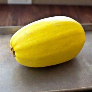 ฟักทองสปาเก็ตตี้ - Spaghetti Squash(เมล็ดพันธุ์)​