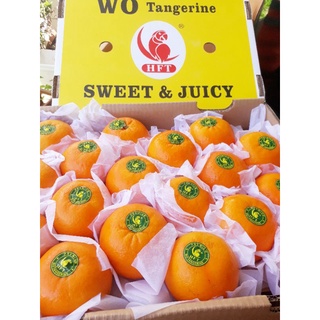 ส้มนกแก้ว ฤดูกาลใหม่  หวาน หอม อร่อย ฉ่ำ น้ำแยอะ เนื้อแน่น 🍊…