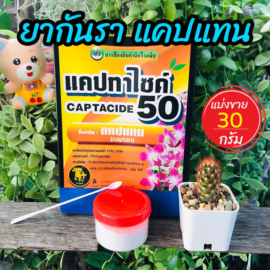 ยากันเชื้อรา cactus ยากันราแคปแทน (Captan - Captacide 50) ราในกระบองเพชร ไม้อวบน้ำ แคคตัส ยาเพาะเมล็ด 30 g