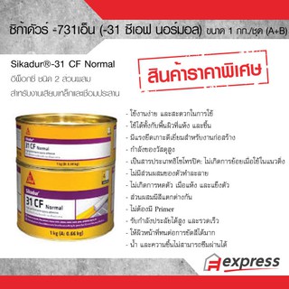 ซิก้าดัวร์-731เอ็น (-31 ซีเอฟ นอร์มอล) ขนาดชุด 1 กิโลกรัม อีพ็อกซี่สำหรับงานเสียบเหล็กและเชื่อมประสาน ซ่อมคอนกรีตแตกร้าว