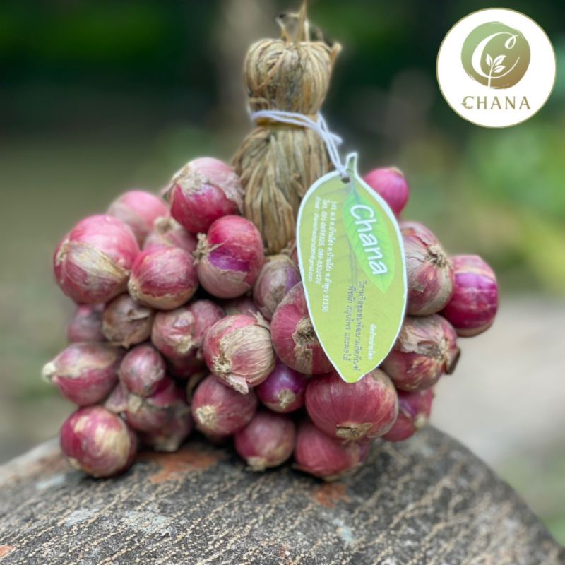 หอมแดงดำ Organic 100% หอมแดงอินทรีย์ ตราชนะ 50 กรัม | Shopee Thailand