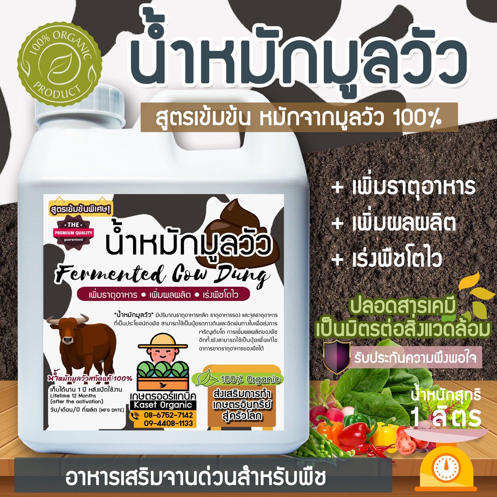 My Image 27