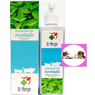 ราคา+ล็อตใหม่+ Dr.Merge แชมพูทองพันชั่ง (250 ml) กำจัดเชื้อรา ยีสต์ แก้ขนร่วง สำหรับสุนัข-แมว