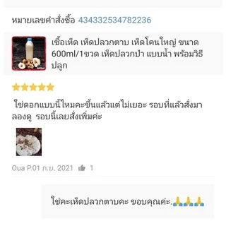 เชื้อเห็ดปลวกตาบ เห็ดโคน (ส่งทุกวัน) ดอกใหญ่ หวาน เชื้อเดินดีพร้อมปลูก 600มล สูตรเฉพาะ โอกาสเกิดสูง