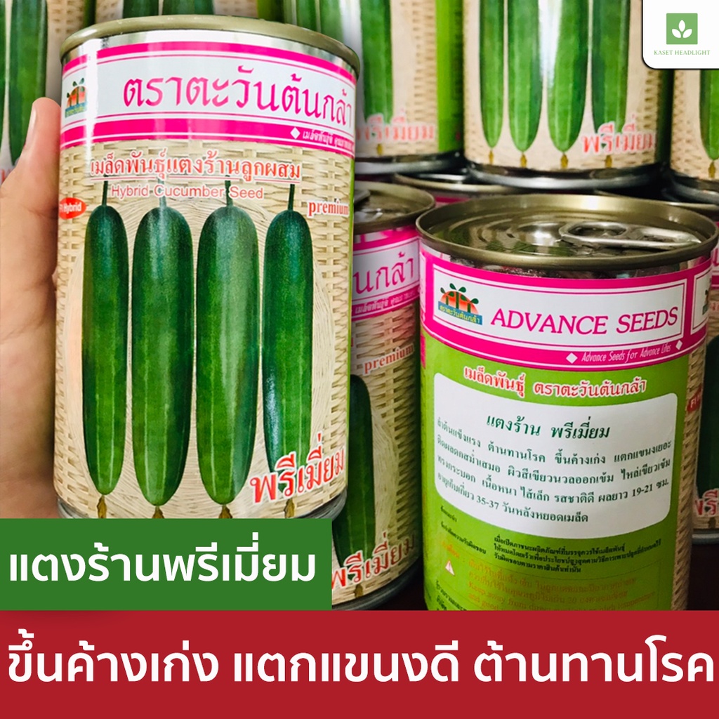 100กรัม แตงร้านพรีเมี่ยม เมล็ดพันธุ์ แตงร้าน ตะวันต้นกล้า แตงร้านพรีเมี่ยม