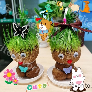 ❗️ตุ๊กตาหัวหญ้า❗️ ตุ๊กตาหญ้า หญ้าแมว กระถางสร้างสรรค์ grass head ของขวัญคริสต์มาส