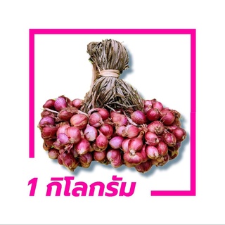หอมแดงไทยหัวเล็ก 1กิโลกรัม