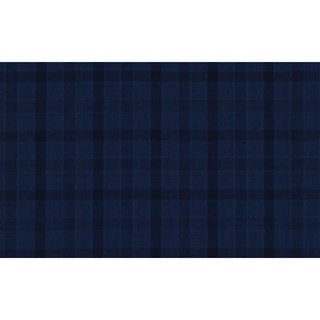 Superior Fine &amp; Dandy/59500 Col.2 Luiciano Brand Jacketing Fabrics Gingham Pattern 595038