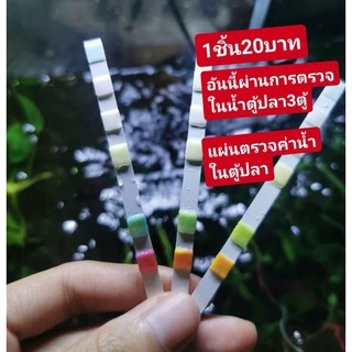 🌈แผ่นตรวจค่าน้ำ​🐟 ในตู้ปลา​ ตู้กุ้ง​ น้องปลาสามารถอยู่ได้ไหม3ชิ้นแถม1
