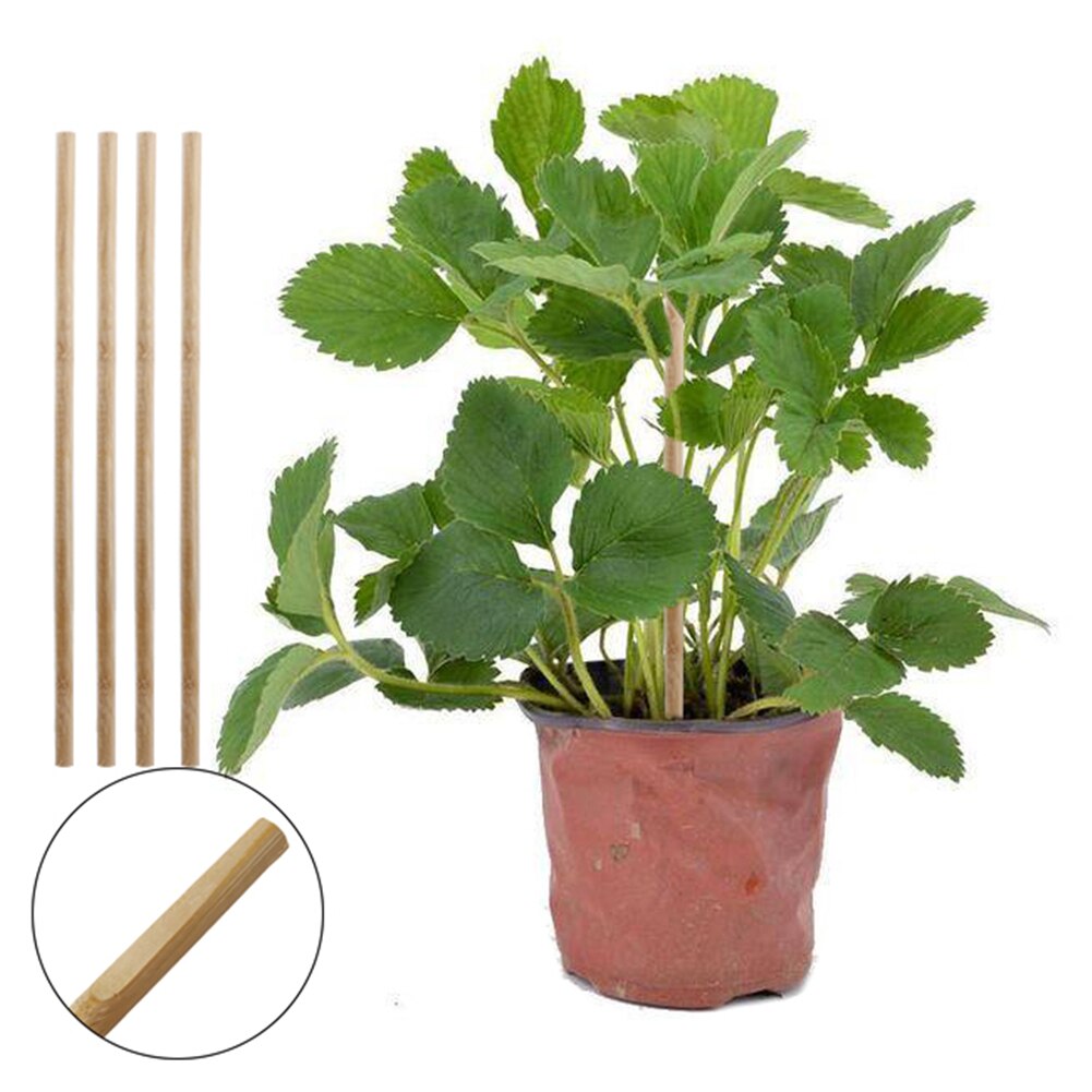 30pcs Wooden Plant Grow Support Bamboo Plant Sticks for Flower Stick ...