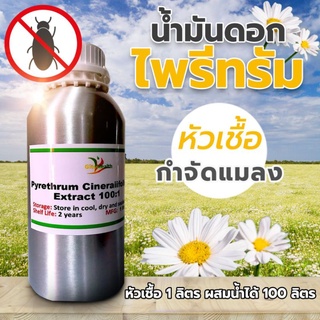 สมุนไพร ไพรีทรัม Pyrethum Extract 1:100  น้ำมันดอกไม้ ไพรีทรัม