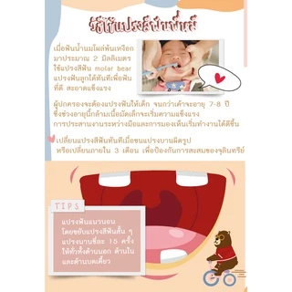 MOLAR BEAR I ยาสีฟันเด็กกลืนได้ ปลอดภัย มีฟลูออไรด์ 1000-1500 ppm ครบทุกรุ่นตามช่วงอายุ I MARKIN.Babe