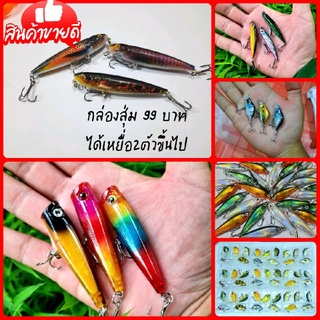 กล่องสุ่มเหยื่อปลอม เหยื่อตกปลากระสูบ fishing lure ✅ได้2ตัวขึ้นไป คุ้มมาก