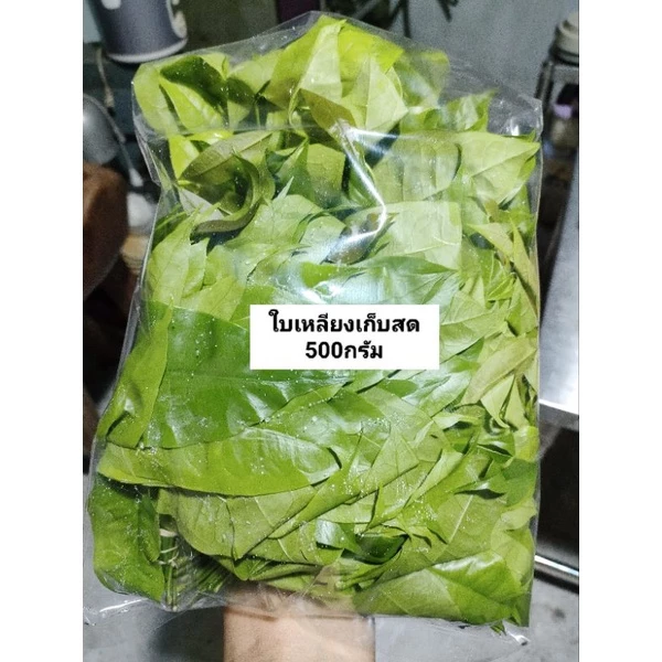 ใบเหลียงสดออแกนิก🌱 ผักปลอดสารพิษ100% 500 กรัม