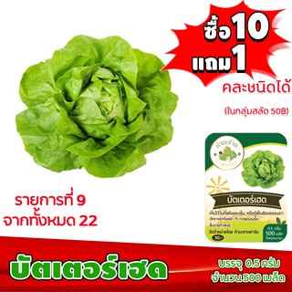 [ซื้อ10แถม1 + ฟรีคู่มือ] เมล็ดพันธุ์ บัตเตอร์เฮด BUTTERHEAD 0.5กรัม (ประมาณ 500เมล็ด) ทำมะชาดฟาร์ม ผักสลัด เมล็ดพันธุ์