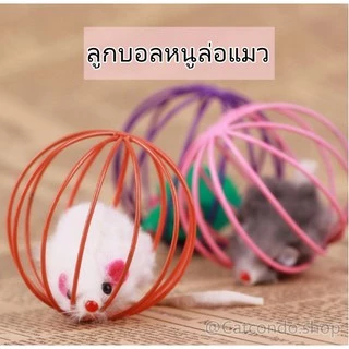 🌵 บอลกรงหนู บอลของเล่นแมว ( คละสี ) ของเล่นแมว แสนสนุก ให้วิ่งไล่จับ เหมือนเป็นการออกกำลังกายไปในตัว 🌵
