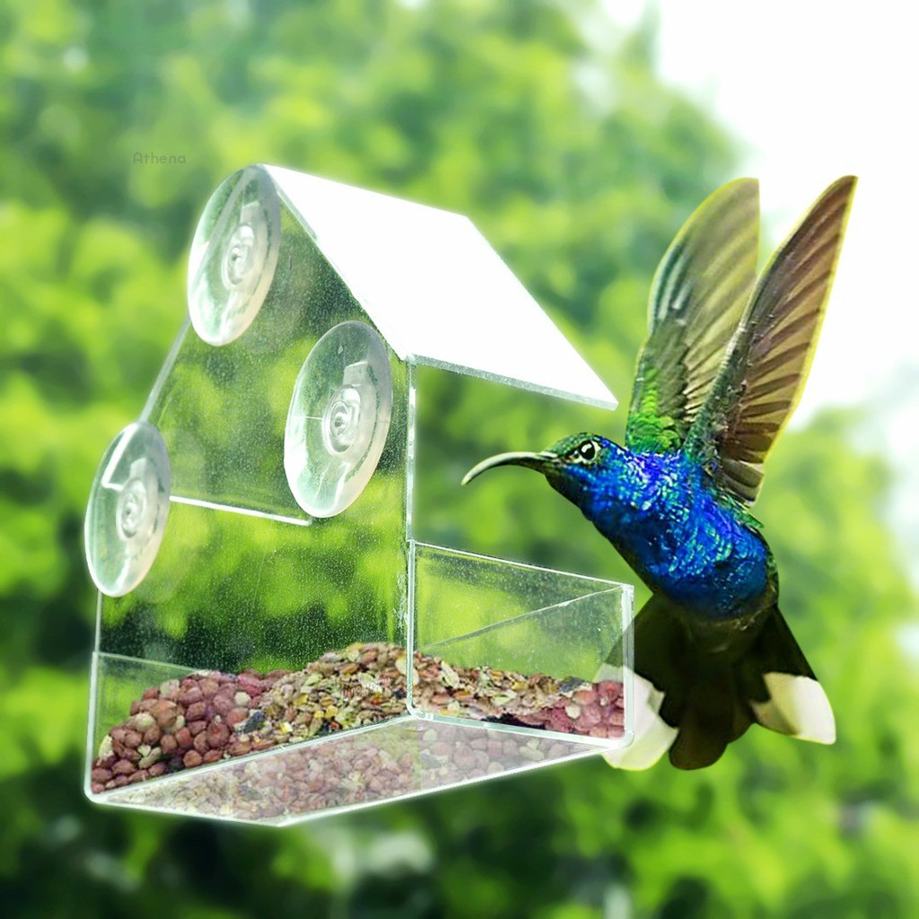 Clear Window Bird Feeder Feeding Squirrel Birdhouse With Suction