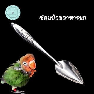 ช้อน ป้อนอาหารนก ช้อนป้อนอาหารลูกนก 12cm ป้อนอาหารลูกนก Bird นกแก้ว ฟอพัส หงส์หยก คอนัวร์ เลิฟเบิร์ด นกฟินซ์ ลูกนก