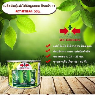 แฟงไส้ตัน ปิ่นแก้ว 50 g. ตราศรแดง allaboutplants