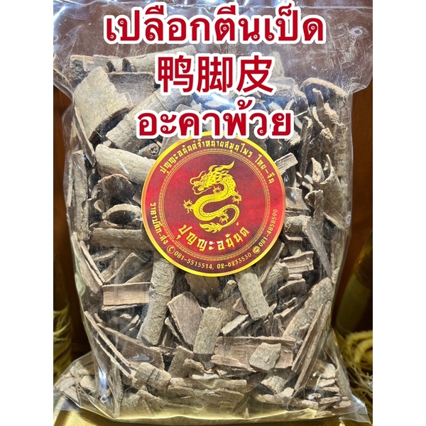 เปลือกตีนเป็ด 鸭脚皮อะคาพ้วย อาคาพ้วย ตีนเป็ด เปลือกต้นพญาสัตบรรณ