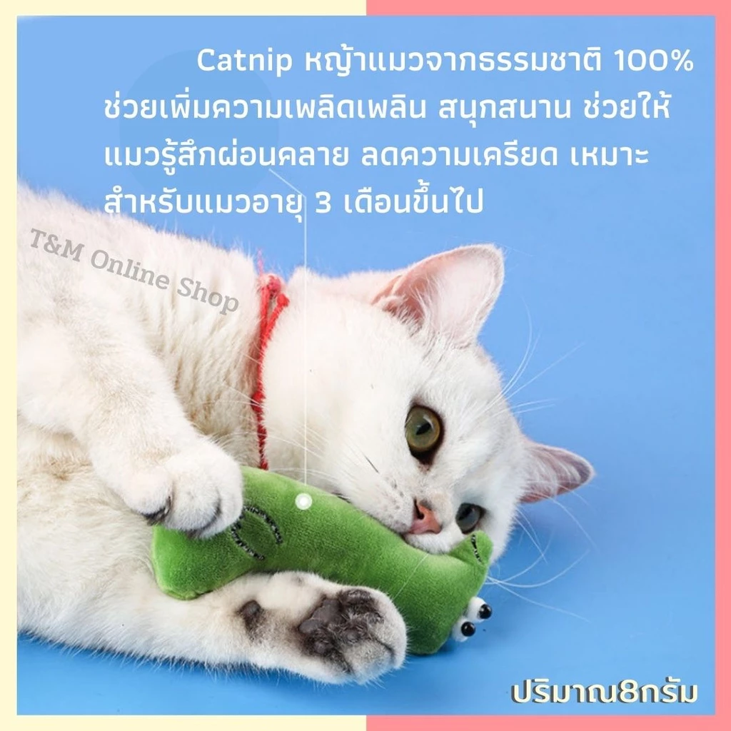สินค้าเข้าเพิ่มแล้ว ตุ๊กตาแคทนิป ตุ๊กตาหญ้าแมว ของเล่นแมว Catnip thumbnail 4
