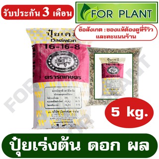 ปุ๋ย สูตร 16-16-8 ตรารถเกษตร บรรจุ 5 กิโลกรัม บำรุงต้น ดอก ใบ ช่วยเพิ่มให้พืชมีสีเขียวเข้ม มีประโยชน์ต่อการสังเคราะห์แสง