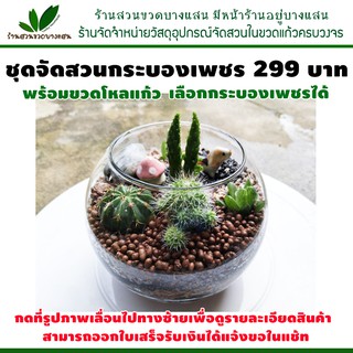 ชุดจัดสวน กระบองเพชร DIY ในขวดแก้ว 299 บาท มีของพร้อมส่ง