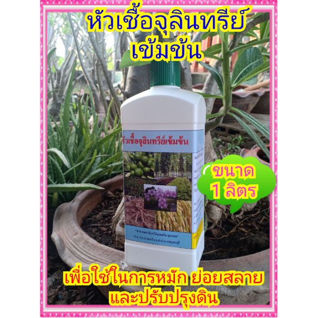 หัวเชื้อจุลินทรีย์เข้มข้น ขนาด 1 ลิตร เพื่อใช้ในการหมักทุกชนิด เช่นผลไม้ ปลา พืชผัก หน่อกล้วย เศษอาหาร