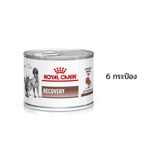 (6 กระป๋อง)Royal canin Recovery 195g สำหรับสัตว์ป่วย พักฟื้น เบื่ออาหาร ทานง่าย เนื้อละเอียด